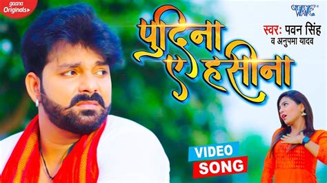 bihari hd video|Pawan Singh's latest Bhojpuri 2021 song Pudina Ae Haseena .